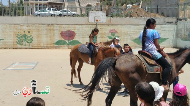 كفرقاسم - فيديو  : تعليم هواية ركوب الخيل في مدرسة جنة ابن رشد في اليوم الرابع لصيف الصادقة 